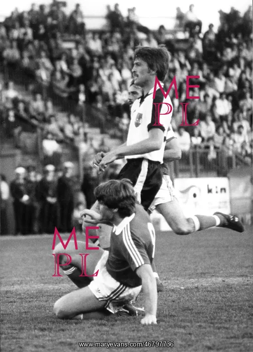: Felix Gasselich 1981 : Felix Gasselich 1981