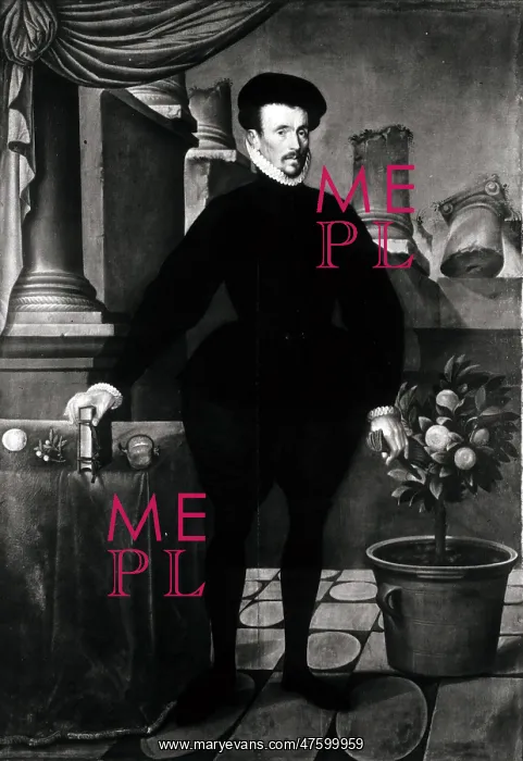 : Felix Plater, Swiss Physician : Felix Plater, Swiss Physician