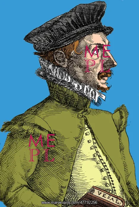 : Felix Plater, Swiss Physician : Felix Plater, Swiss Physician