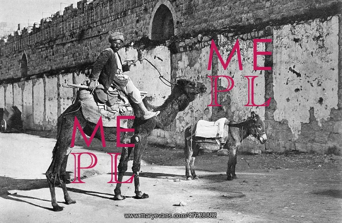 : Fellah with camel and donkey, Jerusalem : Fellah with camel and donkey, Jerusalem