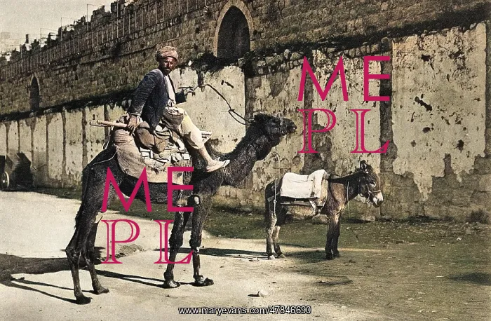 : Fellah with camel and donkey, Jerusalem : Fellah with camel and donkey, Jerusalem