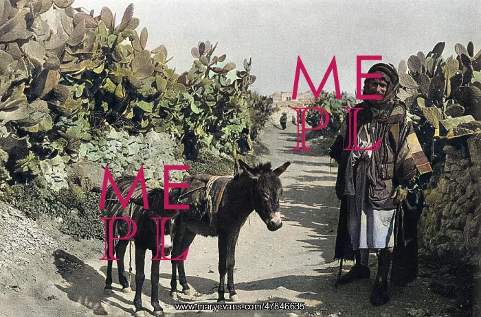 : Fellah with donkeys, Holy Land : Fellah with donkeys, Holy Land
