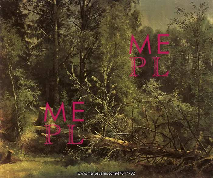  : Felled Tree