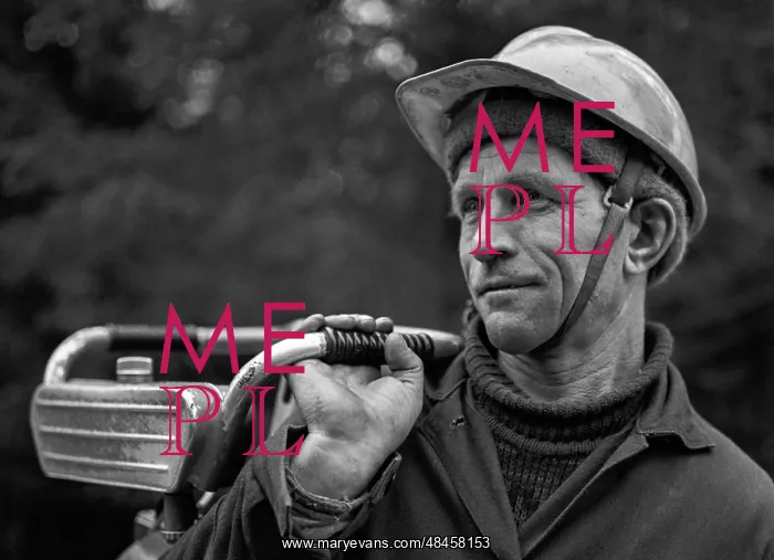 : Feller T. Bystritsky : Feller T. Bystritsky