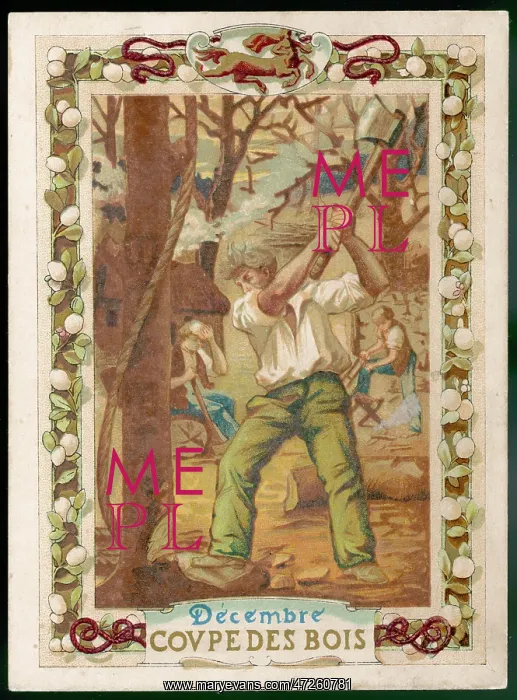 : FELLING TREES : FELLING TREES