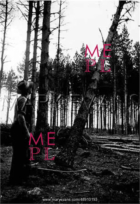  : FELLING TREES