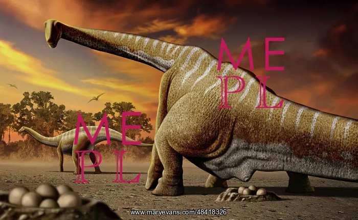 : A female Apatosaurus laying her eggs in nest : A female Apatosaurus laying her eggs in nest