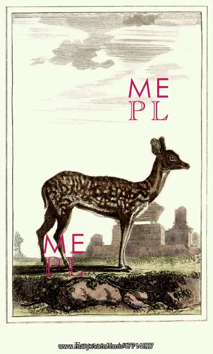  : Female Axis