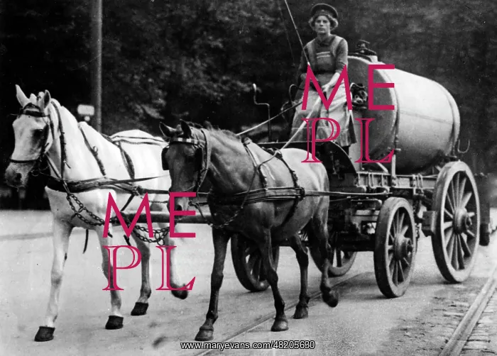 : Female coachman in Berlin : Female coachman in Berlin