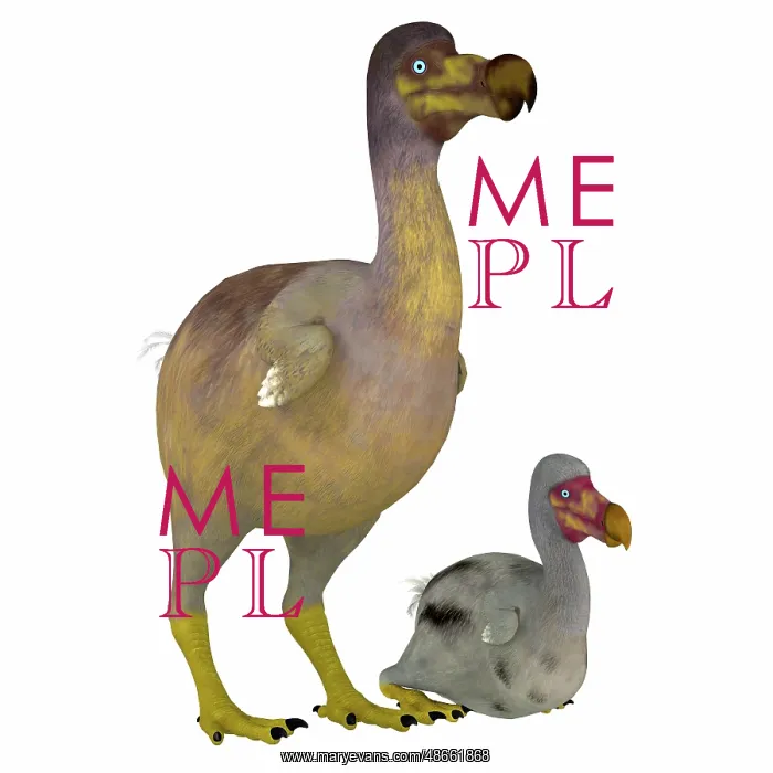 : Female dodo bird with its offspring : Female dodo bird with its offspring