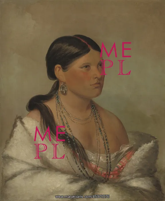 : The Female Eagle, Shawano tribe, by George Catlin : The Female Eagle, Shawano tribe, by George Catlin