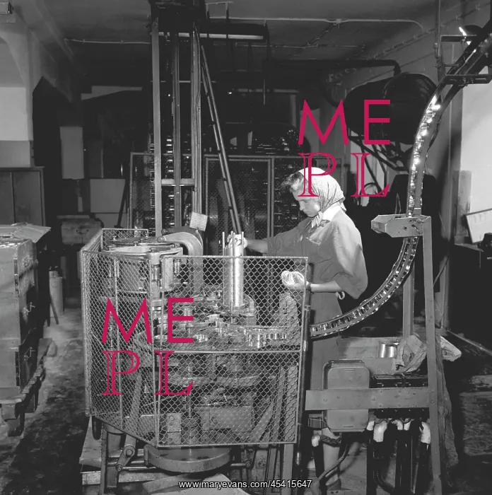 : Female factory worker - can labeling : Female factory worker - can labeling