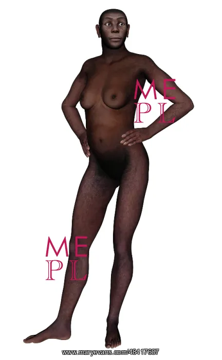 : Female homo erectus standing : Female homo erectus standing
