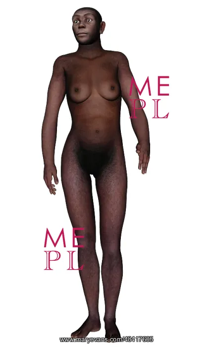 : Female homo erectus walking : Female homo erectus walking