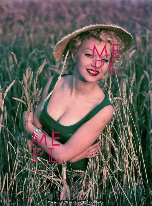 : Female model posing in a cornfield : Female model posing in a cornfield