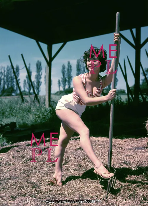 : Female model posing on a farm in top and shorts : Female model posing on a farm in top and shorts