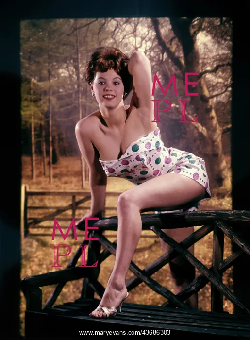 : Female model in a swimsuit in a studio portrait : Female model in a swimsuit in a studio portrait