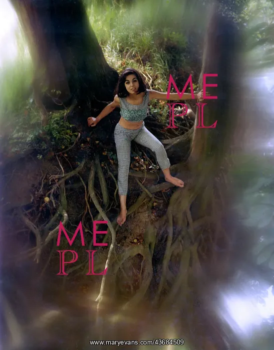 : Female model in a wood : Female model in a wood