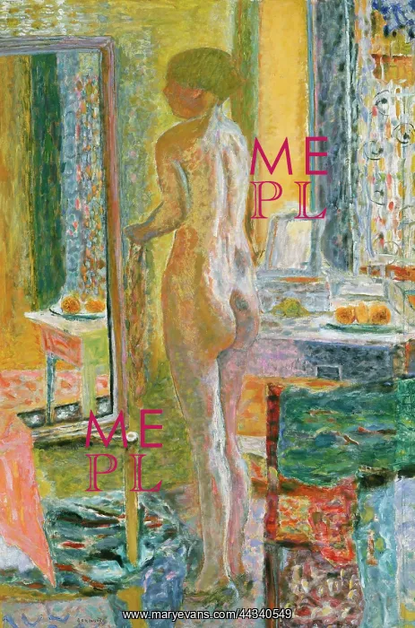 : A female nude in the mirror, by Pierre Bonnard : A female nude in the mirror, by Pierre Bonnard