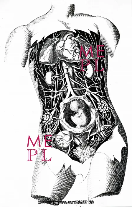 : Female organs. From E Sibly A Key to Physic and : Female organs. From E Sibly A Key to Physic and