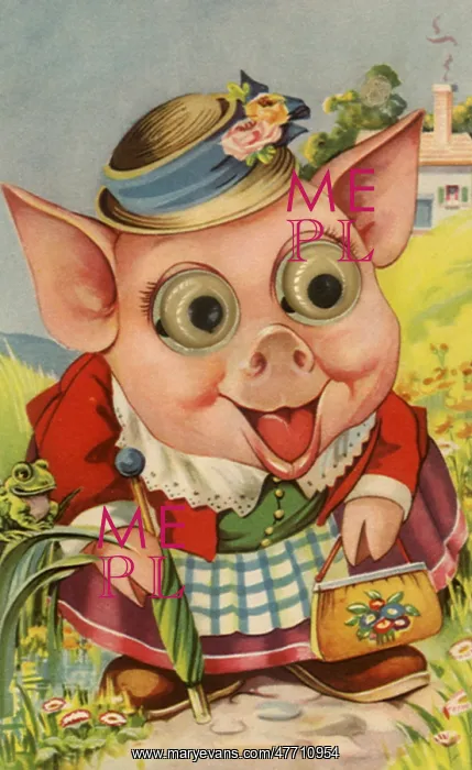  : Female Pig