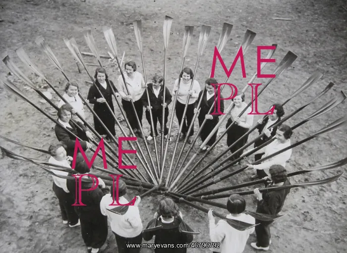 : Female rowers in line-up : Female rowers in line-up