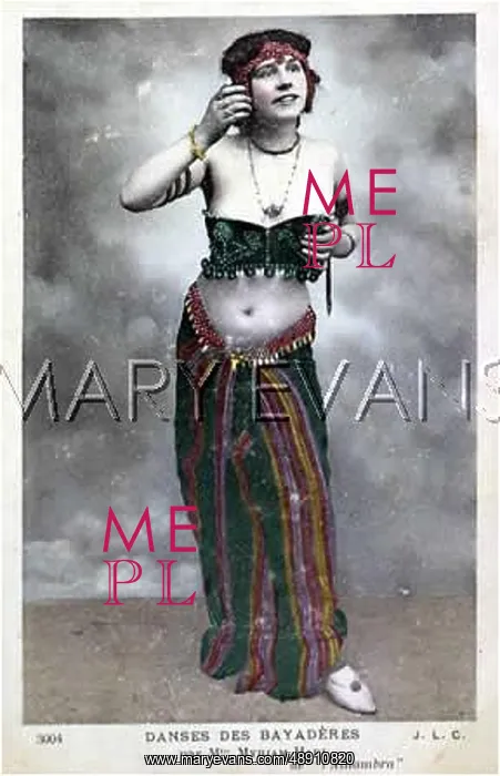: FEMALE TYPE / BAYADERE 1 / 2 : FEMALE TYPE / BAYADERE 1 / 2