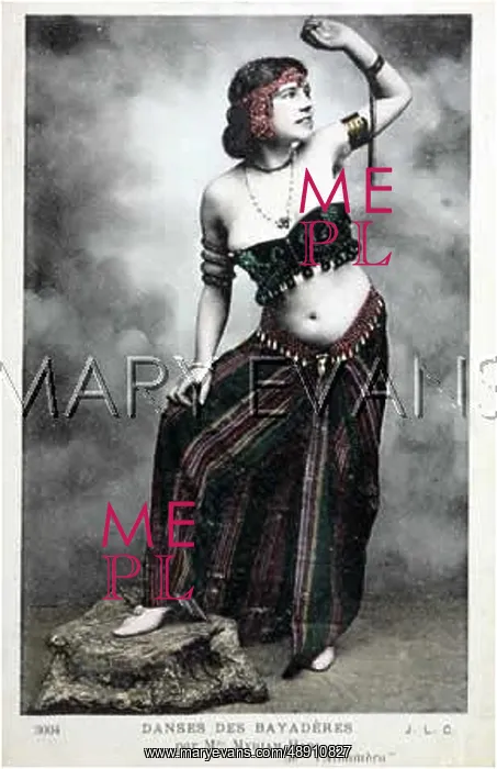 : FEMALE TYPE / BAYADERE 2 / 2 : FEMALE TYPE / BAYADERE 2 / 2