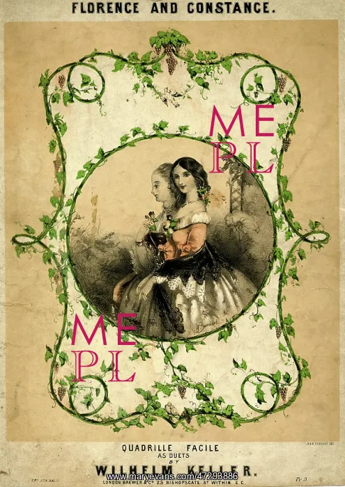 : Female Types - Quadrille : Female Types - Quadrille