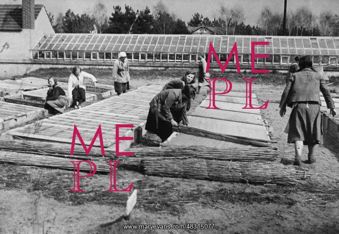 : Female Voluntary Labor Service, 1934 : Female Voluntary Labor Service, 1934
