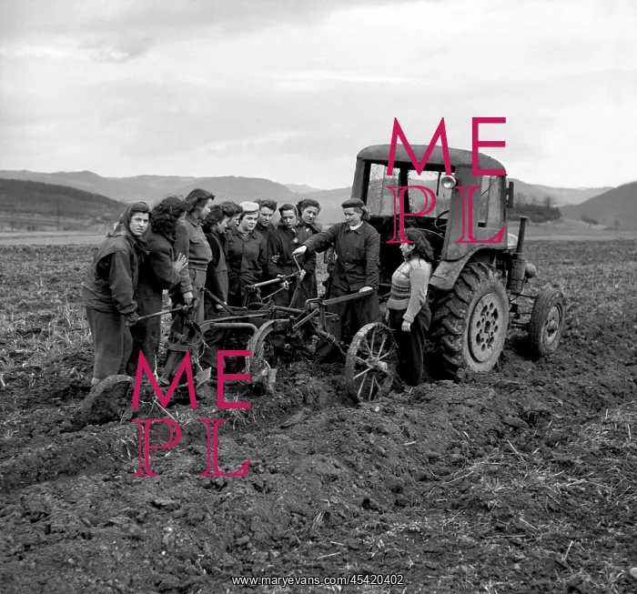 : Female work in agriculture : Female work in agriculture