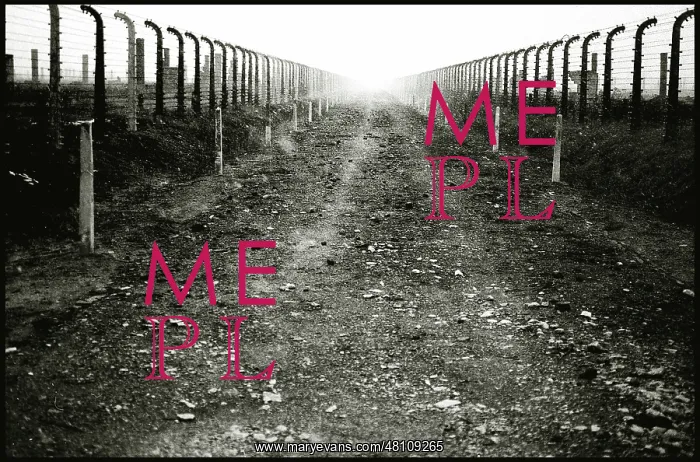 : Between the fences into the sun Auschwitz-Birkenau : Between the fences into the sun Auschwitz-Birkenau