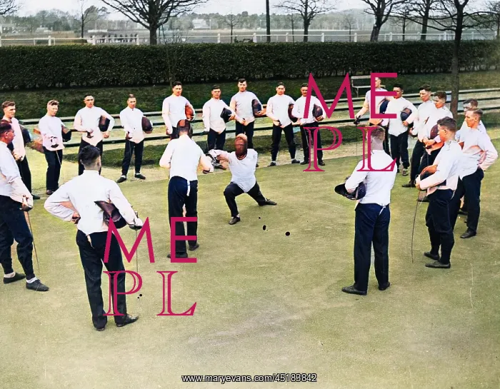 : FENCING SOLDIERS : FENCING SOLDIERS
