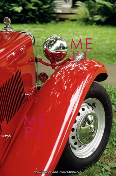  : Front Fender And Tire Of Red Mg