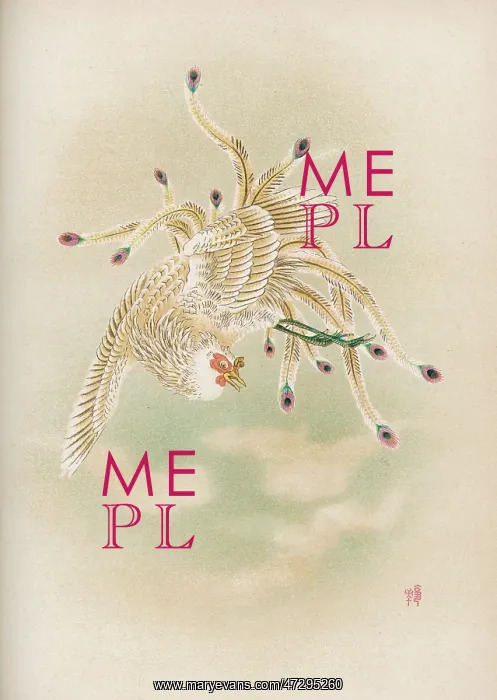 : Feng-Hwang Bird : Feng-Hwang Bird