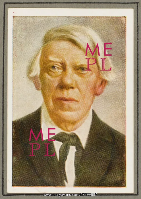 : FERDINAND SCHICHAU : FERDINAND SCHICHAU