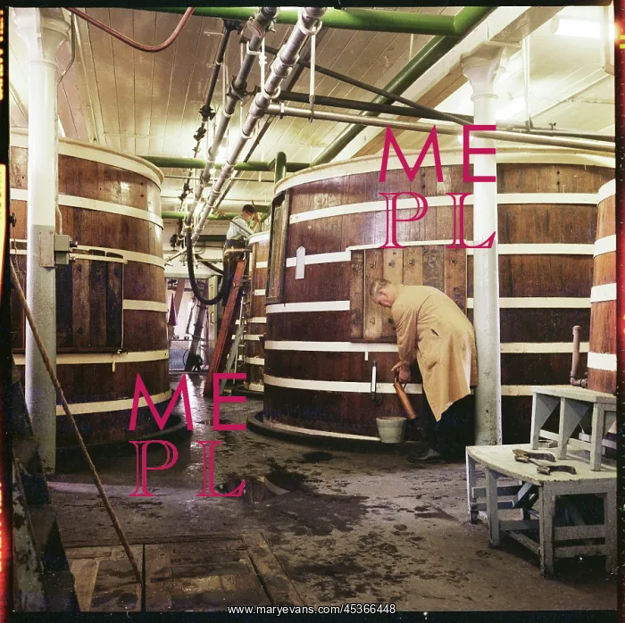 : Fermenters in McMullen's Hertford Brewery : Fermenters in McMullen's Hertford Brewery