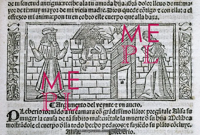 : Fernando de Rojas (1465-1541). Spanish writer. Tragicomedy o : Fernando de Rojas (1465-1541). Spanish writer. Tragicomedy o