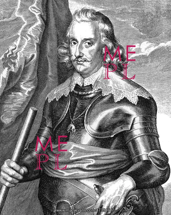 : FERNANDO VAN SPANIEN : FERNANDO VAN SPANIEN