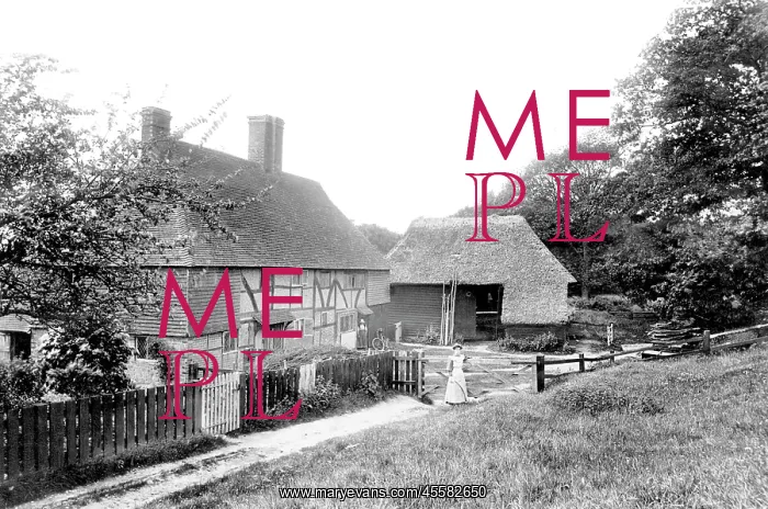  : Fernhurst, Old Tannery 1908