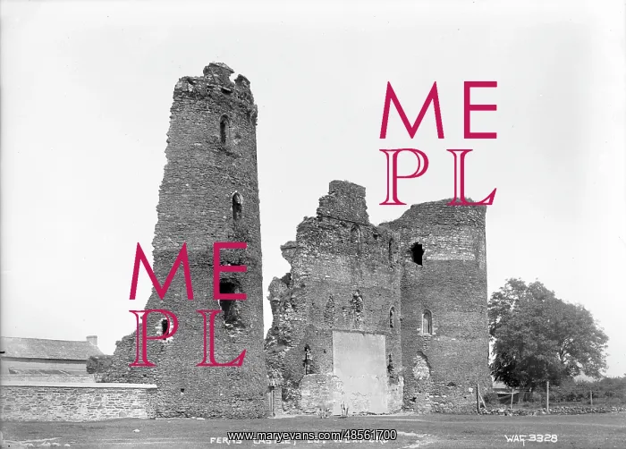 : Ferns Castle, Co. Wexford : Ferns Castle, Co. Wexford
