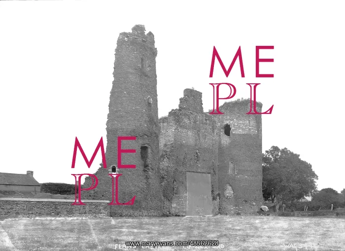 : Ferns Castle Co. Wexford : Ferns Castle Co. Wexford