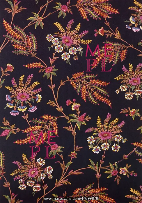 : Ferns and Flowers : Ferns and Flowers