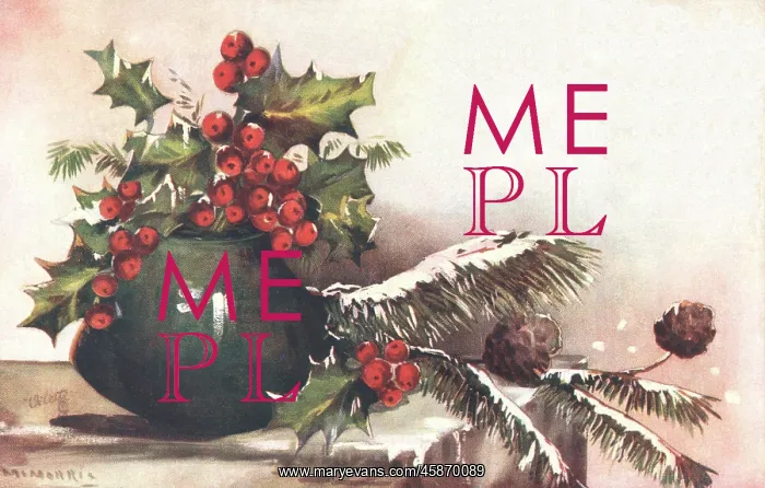 : Ferns & Holly : Ferns & Holly
