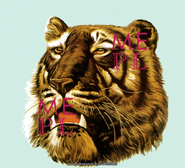  : Ferocious Tiger