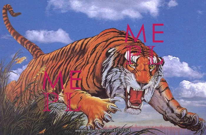  : Ferocious Tiger