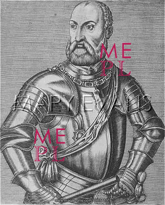 : FERRANTE GONZAGA : FERRANTE GONZAGA