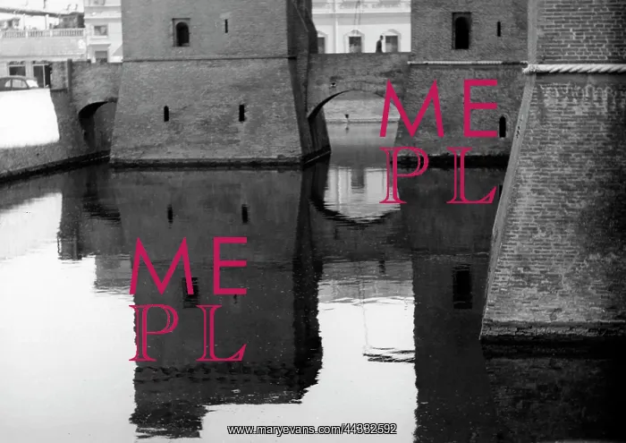 : Ferrara. The Castle : Ferrara. The Castle