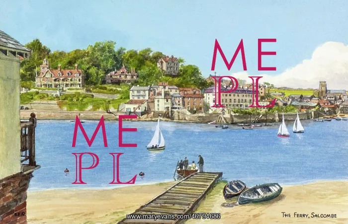 : The Ferry, Salcombe, Devon : The Ferry, Salcombe, Devon
