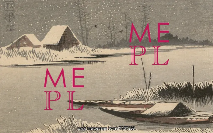 : Ferryboats in snow : Ferryboats in snow